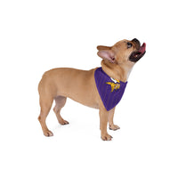 Minnesota Vikings.