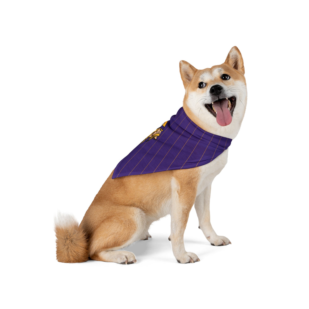 Minnesota Vikings.