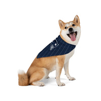 New England Patriots.