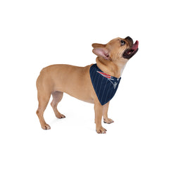 New England Patriots.