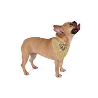 New Orleans Saints.