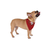 San Francisco Pet Bandana