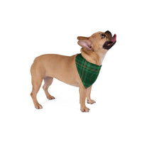 Christmas Checkerred Green Pet Bandana