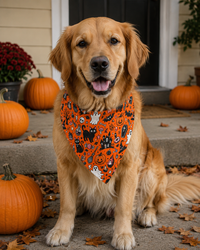 Ghost Monster Spooky Halloween Bandana