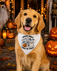 Spooky Night Trick Or Treat Halloween Bandana