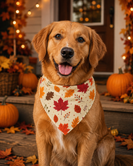 Fall Leaves Halloween Bandana