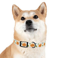 Autumn Pups Dog Collar