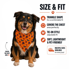 Spooky Spider Halloween Bandana