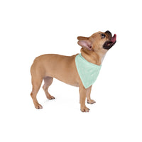 Snow Flakes Christmas  Pet Bandana