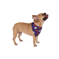 Pumpkin Halloween Bandana
