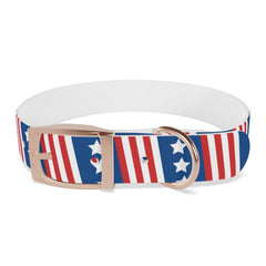 Fireworks Pups Americana Dog Collar