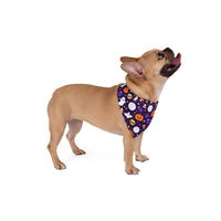Friendly Ghosts & Friends Halloween Bandana
