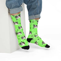 Custom Dog Photo Socks.