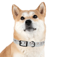 Dalmatian-Brown White Dog Collar