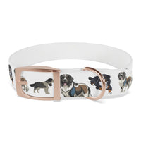 St Bernard-White Dog Collar