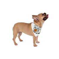 Spooky Night Trick Or Treat Halloween Bandana