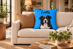 Custom Bones & Paws Pet Pillow