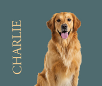 Custom Dog Portrait Blanket