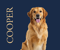 Custom Dog Portrait Blanket