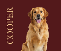 Custom Dog Portrait Blanket