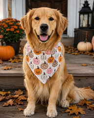 Different Pumpkins Halloween Bandana