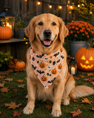 Bats And Pumpkins Halloween Bandana