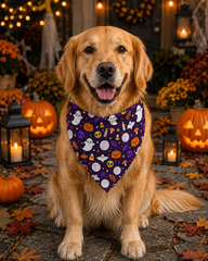 Friendly Ghosts & Friends Halloween Bandana