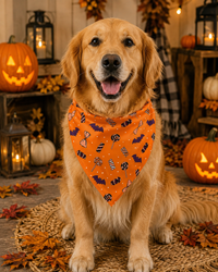 Bats And Candies Halloween Bandana