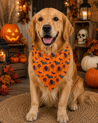 Spooky Spider Halloween Bandana