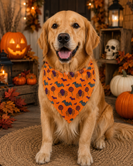 Spooky Spider Halloween Bandana