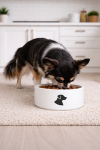 Dog Pet Bowl White