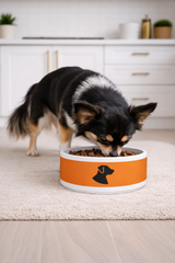 Dog Pet Bowl Orange