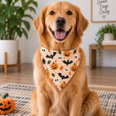 Bats And Pumpkins Halloween Bandana
