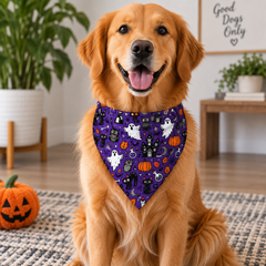 Pumpkin Halloween Bandana