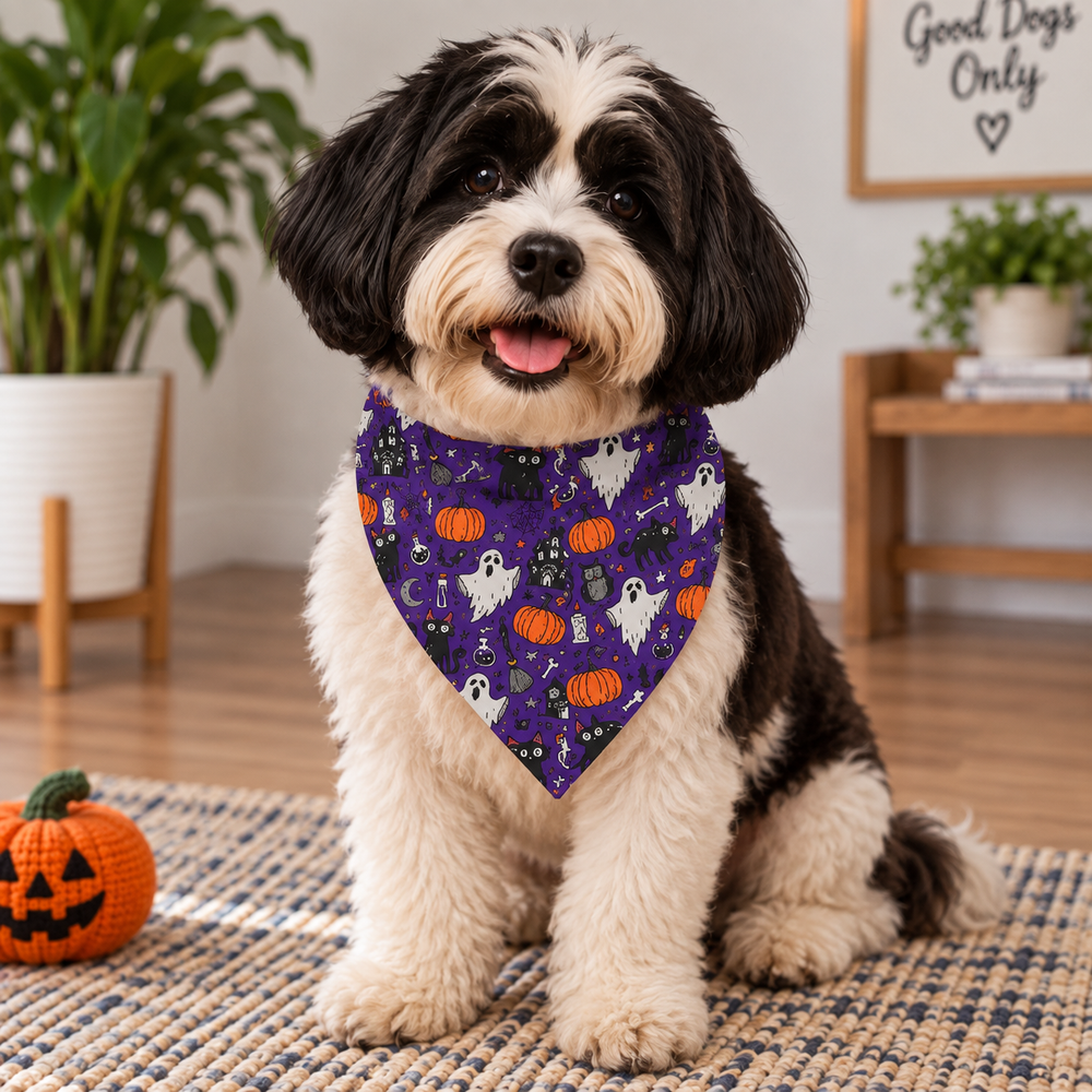 Pumpkin Halloween Bandana