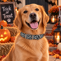 Spirit Halloween Dog Collar