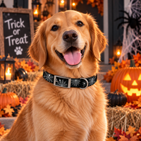 Web Halloween Dog Collar