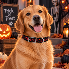 Red Hands Halloween Dog Collar