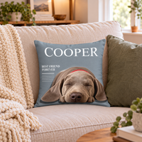 Holiday throw pillow  6