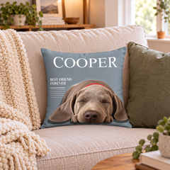 Holiday throw pillow  6