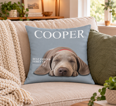Holiday throw pillow  6