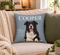 Holiday throw pillow  6