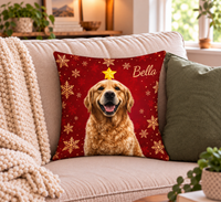 Bella's Cozy Pillow