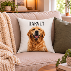 Holiday throw pillow  7