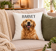 Holiday throw pillow  7