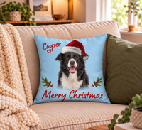 Custom Merry Pet Pillow