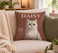 Holiday throw pillow  6