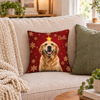 Bella's Cozy Pillow