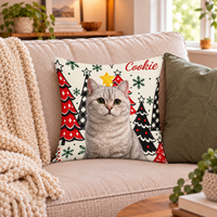 Custom Festive Petty Pillow
