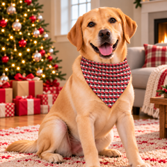 Plaid Heritage Wrap Pet Bandana